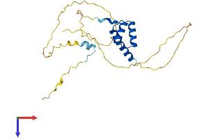 AlphaFold protein structure predicition of Human Recombinant BSX Protein, UniprotID Q3C1V8