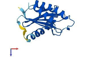 AlphaFold protein structure predicition of Mouse Recombinant Trappc2 Protein, UniprotID Q9CQP2
