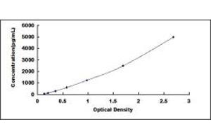 Calcyclin Binding Protein (CACYBP) ELISA Kit
