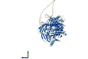AlphaFold protein structure predicition of Human Recombinant DPP6 Protein, UniprotID P42658