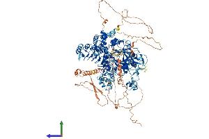 AlphaFold protein structure predicition of Human Recombinant KDM2A Protein, UniprotID Q9Y2K7