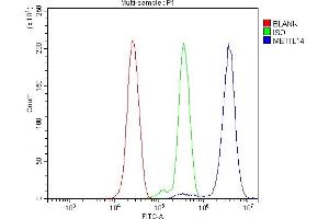 Flow Cytometry analysis of THP-1 cells using anti-METTL14 antibody (ABIN7599817).