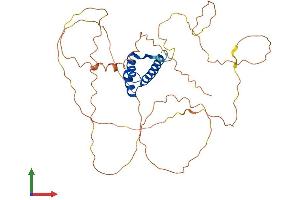 AlphaFold protein structure predicition of Mouse Recombinant Hoxa13 Protein, UniprotID Q62424