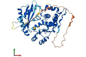 AlphaFold protein structure predicition of Human Recombinant OAS1 Protein, UniprotID P00973