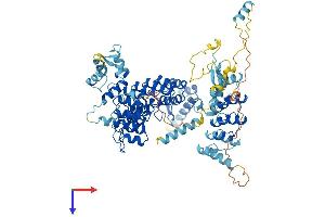 AlphaFold protein structure predicition of Mouse Recombinant Ankef1 Protein, UniprotID Q9D2J7