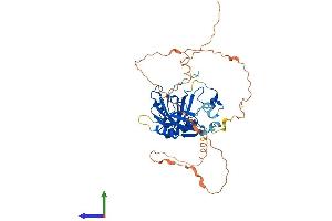 AlphaFold protein structure predicition of Mouse Recombinant Trmo Protein, UniprotID Q562D6