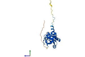 AlphaFold protein structure predicition of Mouse Recombinant Mrto4 Protein, UniprotID Q9D0I8