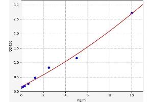 Typical standard curve (SCUBE3 Kit ELISA)