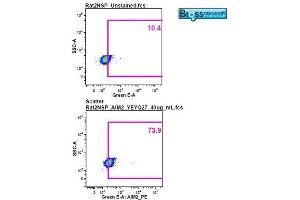 Image was kindly submitted by a researcher at Duke University Medical Center.