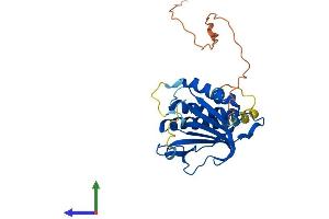 AlphaFold protein structure predicition of Mouse Recombinant Mad2l1bp Protein, UniprotID Q9DCX1