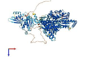 AlphaFold protein structure predicition of Human Recombinant DHX30 Protein, UniprotID Q7L2E3