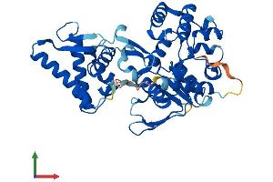 AlphaFold protein structure predicition of Human Recombinant SPO11 Protein, UniprotID Q9Y5K1