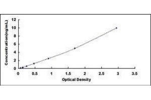 Growth Differentiation Factor 9 (GDF9) ELISA Kit