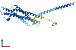AlphaFold protein structure predicition of Human Recombinant STX3 Protein, UniprotID Q13277