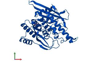 AlphaFold protein structure predicition of Mouse Recombinant Pdxk Protein, UniprotID Q8K183