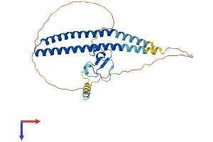 AlphaFold protein structure predicition of Mouse Recombinant Ing1 Protein, UniprotID Q9QXV3