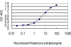 Detection limit for recombinant GST tagged WASF2 is approximately 0. (WASF2 anticorps  (AA 73-172))