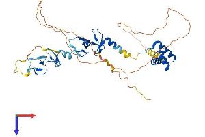 AlphaFold protein structure predicition of Human Recombinant LHX4 Protein, UniprotID Q969G2