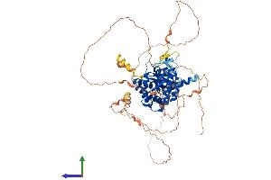 AlphaFold protein structure predicition of Mouse Recombinant Pip5k1c Protein, UniprotID O70161