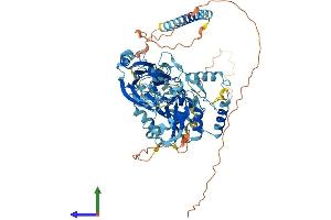 AlphaFold protein structure predicition of Mouse Recombinant Noa1 Protein, UniprotID Q9JJG9