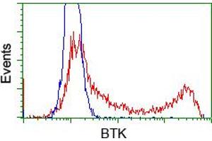 Flow Cytometry (FACS) image for anti-Bruton Agammaglobulinemia tyrosine Kinase (BTK) antibody (ABIN1496978) (BTK anticorps)
