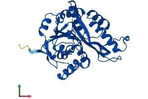 AlphaFold protein structure predicition of Human Recombinant MEMO1 Protein, UniprotID Q9Y316
