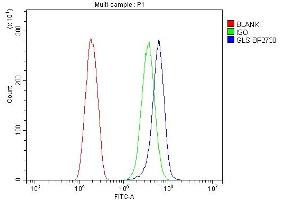 Flow Cytometry analysis of SiHa cells using anti-Glutaminase/GLS antibody (ABIN7601603). (Glutaminase anticorps  (AA 396-654))
