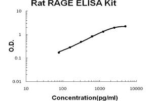 Rat RAGE Accusignal ELISA Kit Rat RAGE AccuSignal ELISA Kit standard curve. (RAGE Kit ELISA)