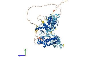 AlphaFold protein structure predicition of Human Recombinant AFG3L2 Protein, UniprotID Q9Y4W6