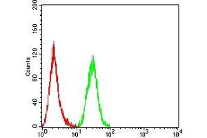 Flow cytometric analysis of Hela cells using XIAP mouse mAb (green) and negative control (red).