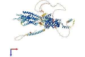 AlphaFold protein structure predicition of Mouse Recombinant Kcnh5 Protein, UniprotID Q920E3