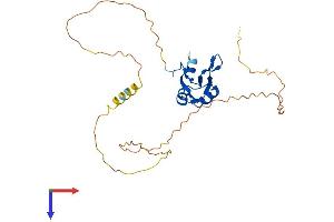 AlphaFold protein structure predicition of Human Recombinant RBM7 Protein, UniprotID Q9Y580