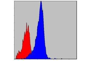 Flow cytometric analysis of NIH/3T3 cells using CRKL mouse mAb (blue) and negative control (red).