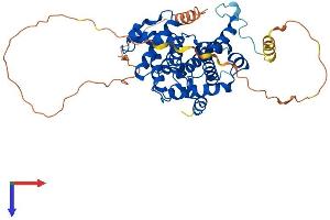 AlphaFold protein structure predicition of Human Recombinant CCNB1 Protein, UniprotID P14635