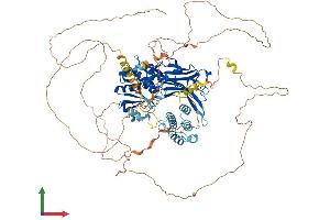 AlphaFold protein structure predicition of Mouse Recombinant Dnajc6 Protein, UniprotID Q80TZ3