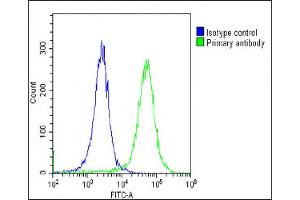 Overlay histogram showing HeLa cells stained with (green line).
