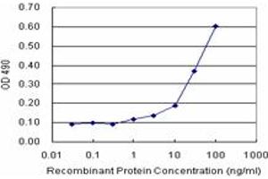 Sandwich ELISA detection sensitivity ranging from 10 ng/mL to 100 ng/mL. (PLSCR1 (Humain) Matched Antibody Pair)
