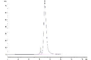The purity of Human VSIG8 is greater than 95 % as determined by SEC-HPLC. (VSIG8 Protein (AA 22-263) (Fc Tag))
