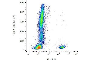 Flow cytometry analysis (surface staining) of human peripheral blood cells with anti-human CD19 (LT19) PE.