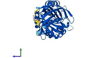 AlphaFold protein structure predicition of Human Recombinant SERPINB5 Protein, UniprotID P36952