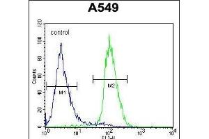C1orf51 Antibody (N-term) (ABIN654338 and ABIN2844109) flow cytometric analysis of A549 cells (right histogram) compared to a negative control cell (left histogram). (C1orf51 anticorps  (N-Term))