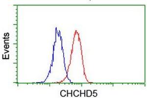 Image no. 8 for anti-Coiled-Coil-Helix-Coiled-Coil-Helix Domain Containing 5 (CHCHD5) (AA 1-110) antibody (ABIN1490561) (CHCHD5 anticorps  (AA 1-110))