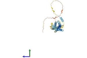 AlphaFold protein structure predicition of Mouse Recombinant Stx5 Protein, UniprotID Q8K1E0