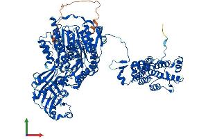 AlphaFold protein structure predicition of Mouse Recombinant Acly Protein, UniprotID Q91V92