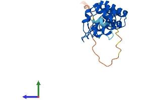 AlphaFold protein structure predicition of Human Recombinant ANKRD39 Protein, UniprotID Q53RE8