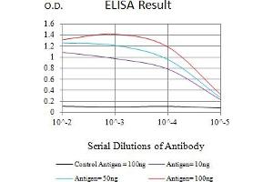 Black line: Control Antigen (100 ng),Purple line: Antigen (10 ng), Blue line: Antigen (50 ng), Red line:Antigen (100 ng) (14-3-3 theta anticorps  (AA 1-245))