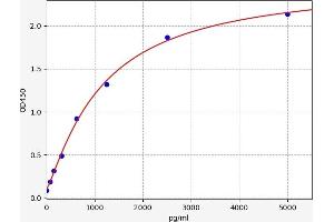 Neuropilin 1 (NRP1) ELISA Kit