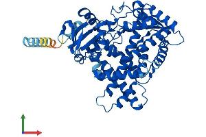 AlphaFold protein structure predicition of Mouse Recombinant Cyp2f2 Protein, UniprotID P33267