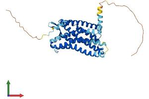 AlphaFold protein structure predicition of Mouse Recombinant Ccr5 Protein, UniprotID P51682