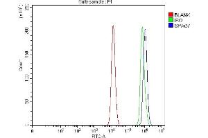 Flow Cytometry analysis of HCT116 cells using anti-SPAG7 antibody (ABIN7599072). (SPAG7 anticorps  (AA 1-199))
